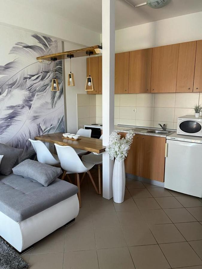 Apartman Lukic Banja Koviljača 외부 사진