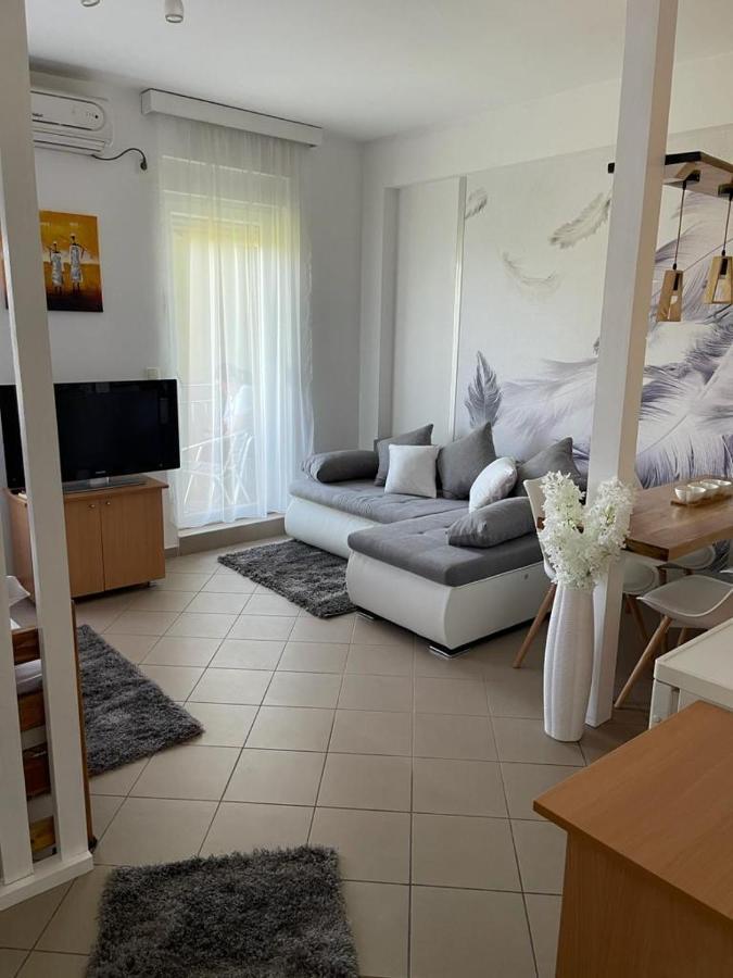 Apartman Lukic Banja Koviljača 외부 사진