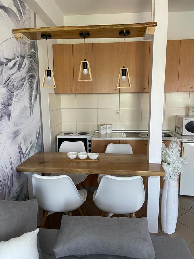Apartman Lukic Banja Koviljača 외부 사진