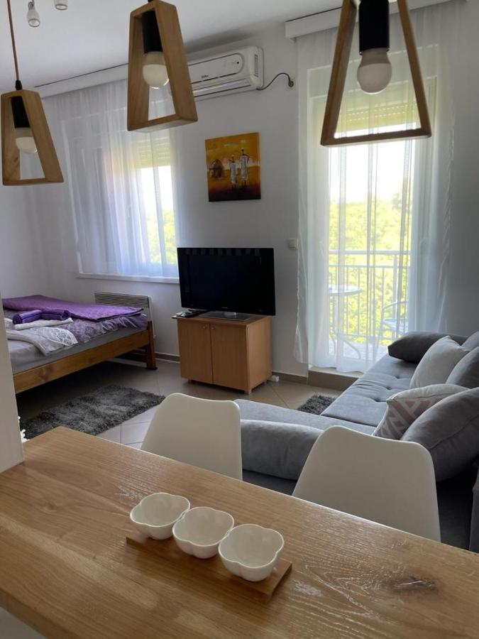 Apartman Lukic Banja Koviljača 외부 사진