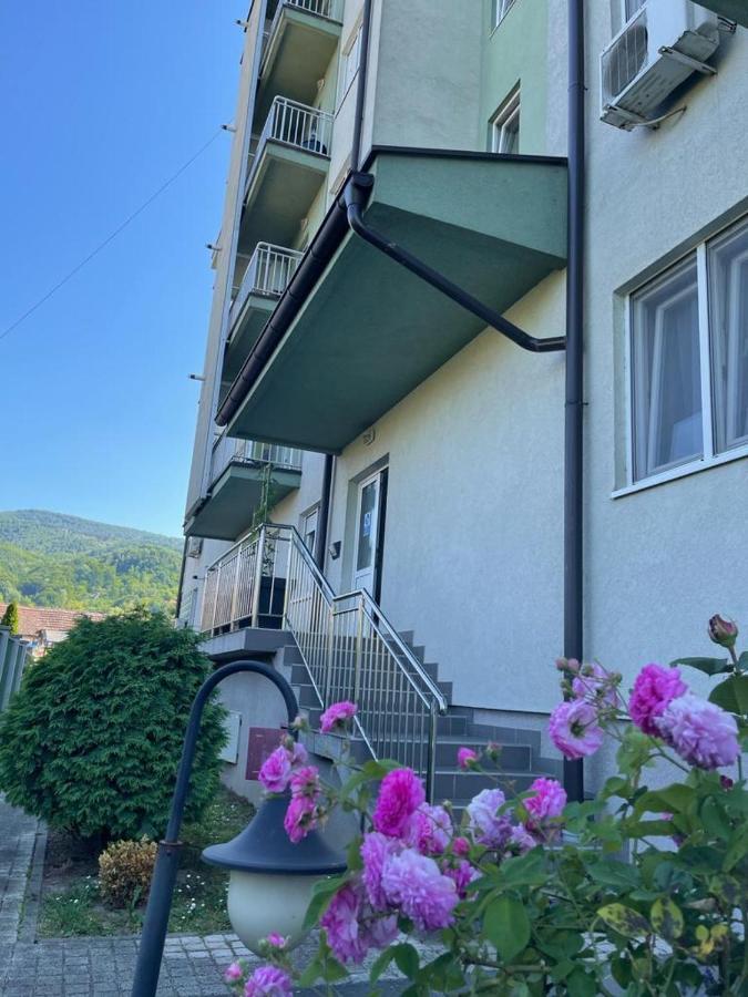 Apartman Lukic Banja Koviljača 외부 사진
