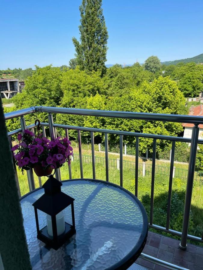 Apartman Lukic Banja Koviljača 외부 사진